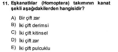 Entomoloji 2013-2014 Ara Sınav - 11. soru