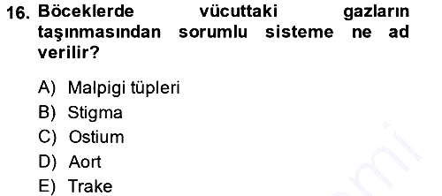 Entomoloji 2013-2014 Ara Sınav - 16. soru