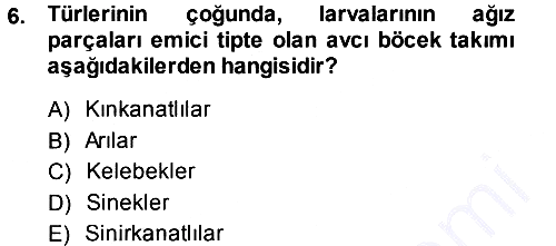 Entomoloji 2014-2015 Ara Sınav - 6. soru