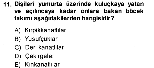 Entomoloji 2014-2015 Ara Sınav - 11. soru