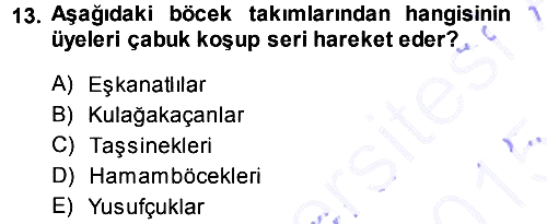 Entomoloji 2014-2015 Ara Sınav - 13. soru
