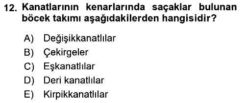 Entomoloji 2017-2018 Ara Sınav - 12. soru