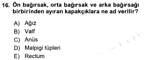Entomoloji 2017-2018 Ara Sınav - 16. soru