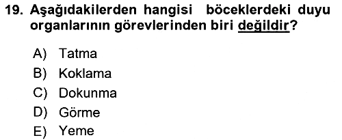 Entomoloji 2017-2018 Ara Sınav - 19. soru