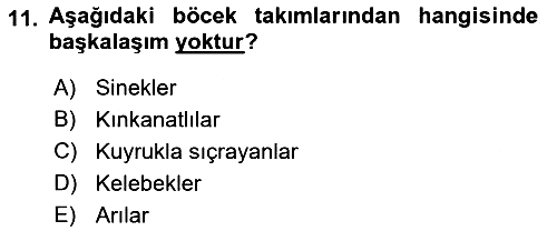 Entomoloji 2018-2019 Ara Sınav - 11. soru