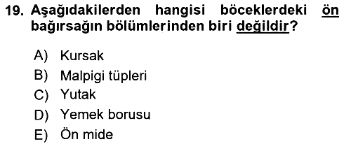 Entomoloji 2019-2020 Ara Sınav - 19. soru
