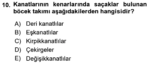 Entomoloji 2021-2022 Ara Sınav - 10. soru