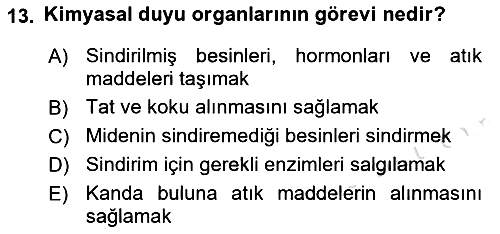 Entomoloji 2022-2023 Ara Sınav - 13. soru