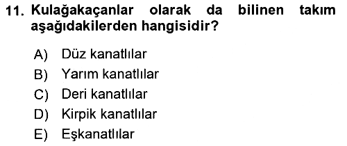 Entomoloji 2023-2024 Ara Sınav - 11. soru