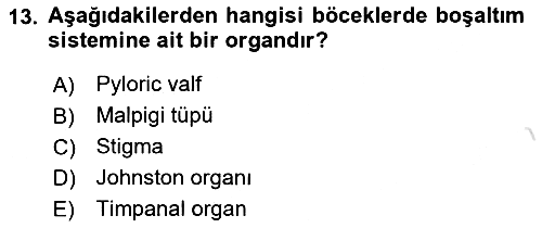 Entomoloji 2023-2024 Ara Sınav - 13. soru