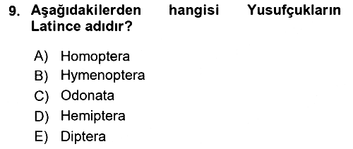 Entomoloji 2024-2025 Ara Sınav - 9. soru