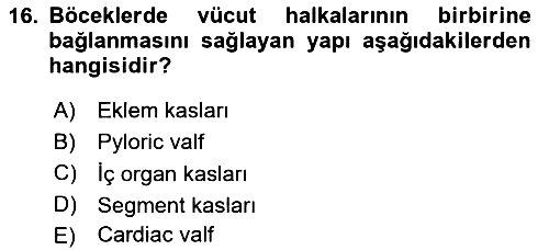 Entomoloji 2024-2025 Ara Sınav - 16. soru