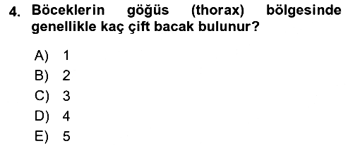 Entomoloji 2025-2026 Ara Sınav - 4. soru