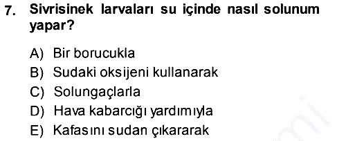 Entomoloji 2013-2014 Dönem Sonu Sınavı - 7. soru