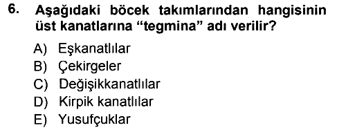 Entomoloji 2014-2015 Dönem Sonu Sınavı - 6. soru