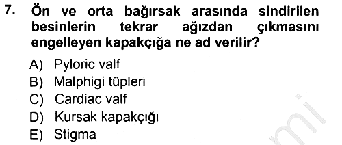 Entomoloji 2014-2015 Dönem Sonu Sınavı - 7. soru