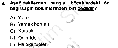 Entomoloji 2014-2015 Dönem Sonu Sınavı - 8. soru