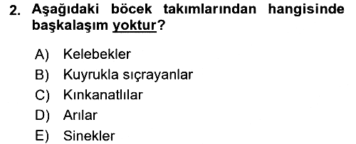 Entomoloji 2015-2016 Dönem Sonu Sınavı - 2. soru