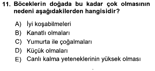 Entomoloji 2015-2016 Dönem Sonu Sınavı - 11. soru
