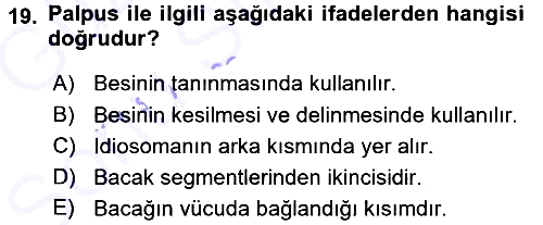 Entomoloji 2015-2016 Dönem Sonu Sınavı - 19. soru
