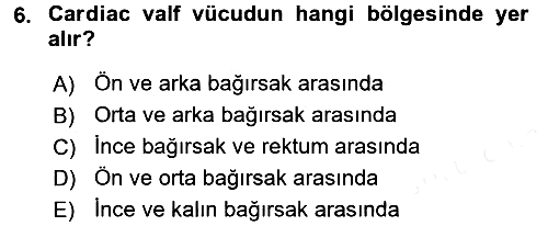 Entomoloji 2016-2017 Dönem Sonu Sınavı - 6. soru
