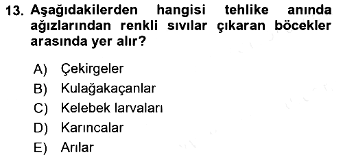 Entomoloji 2018-2019 Dönem Sonu Sınavı - 13. soru