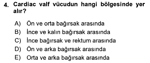 Entomoloji 2021-2022 Dönem Sonu Sınavı - 4. soru