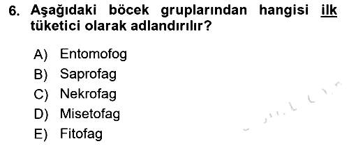 Entomoloji 2022-2023 Dönem Sonu Sınavı - 6. soru