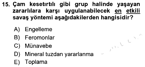 Entomoloji 2022-2023 Dönem Sonu Sınavı - 15. soru