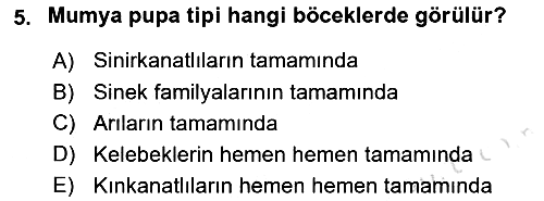 Entomoloji 2023-2024 Dönem Sonu Sınavı - 5. soru