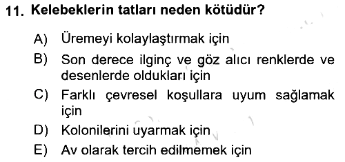 Entomoloji 2023-2024 Dönem Sonu Sınavı - 11. soru