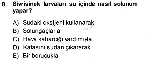 Entomoloji 2013-2014 Tek Ders Sınavı - 8. soru