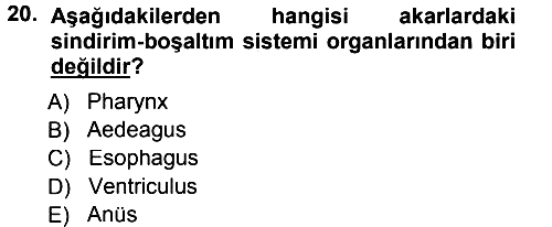 Entomoloji 2013-2014 Tek Ders Sınavı - 20. soru