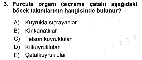 Entomoloji 2021-2022 Yaz Okulu Sınavı - 3. soru