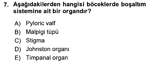 Entomoloji 2024-2025 Yaz Okulu Sınavı - 7. soru