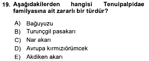 Entomoloji 2024-2025 Yaz Okulu Sınavı - 19. soru