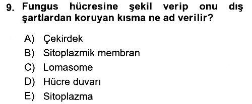 Fitopatoloji 2016-2017 3 Ders Sınavı - 9. soru