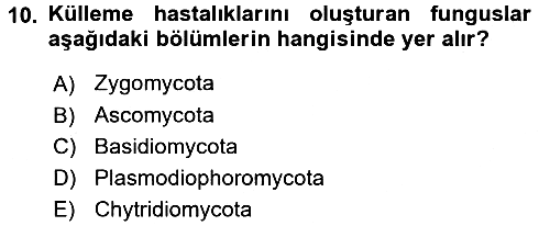Fitopatoloji 2016-2017 3 Ders Sınavı - 10. soru