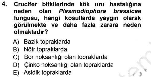 Fitopatoloji 2012-2013 Ara Sınav - 4. soru
