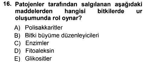 Fitopatoloji 2012-2013 Ara Sınav - 16. soru