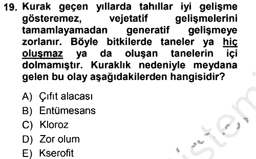 Fitopatoloji 2012-2013 Ara Sınav - 19. soru