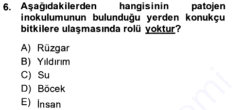 Fitopatoloji 2013-2014 Ara Sınav - 6. soru
