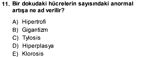 Fitopatoloji 2013-2014 Ara Sınav - 11. soru