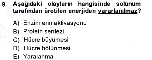 Fitopatoloji 2014-2015 Ara Sınav - 9. soru