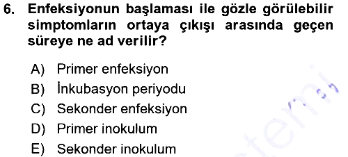 Fitopatoloji 2015-2016 Ara Sınav - 6. soru