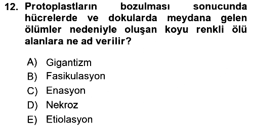 Fitopatoloji 2015-2016 Ara Sınav - 12. soru