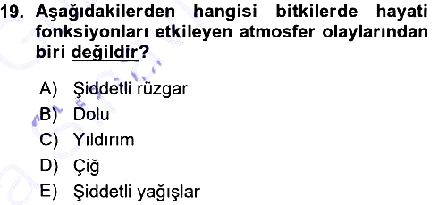 Fitopatoloji 2015-2016 Ara Sınav - 19. soru