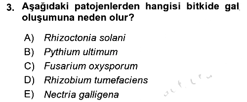 Fitopatoloji 2016-2017 Ara Sınav - 3. soru
