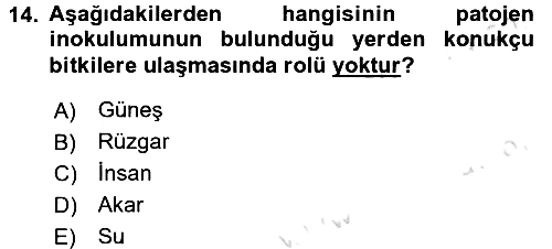 Fitopatoloji 2016-2017 Ara Sınav - 14. soru
