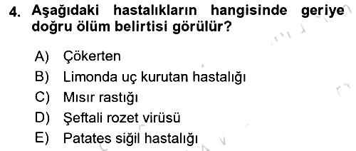 Fitopatoloji 2017-2018 Ara Sınav - 4. soru